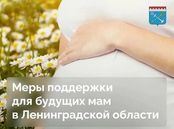 В Ленинградской области создан целый комплекс мер поддержки для будущих мам
