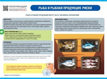 Лето — пора активного отдыха и, конечно, рыбалки